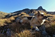 LAGHI GEMELLI, DELLA PAURA E DI VAL VEGIA, giro ad anello con tre cime dalla Conca di Mezzeno il 26 ott. 2019 - FOTOGALLERY